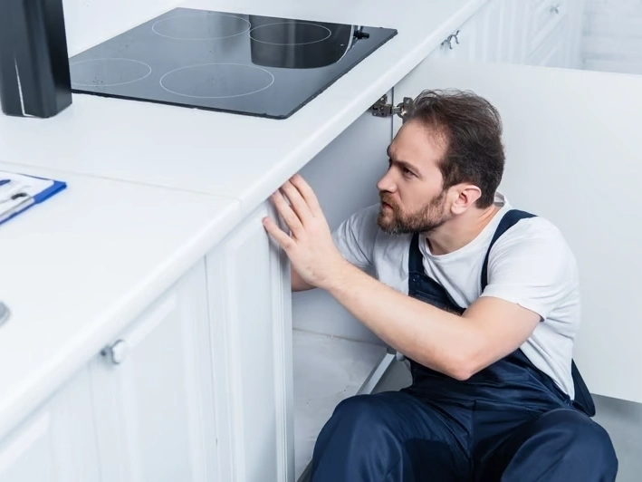 Professional Garbage Disposal Services services by SnoFalls Plumbing LLC in Covington, WA — licensed Plumbing provider